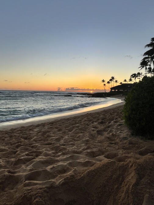 Evening sunset along the sandy beach